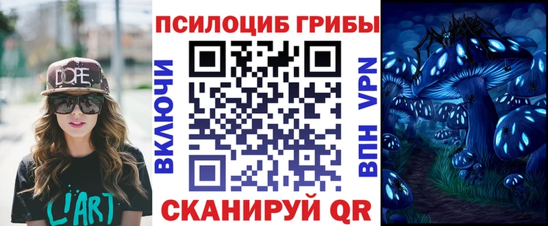 Псилоцибиновые грибы Psilocybe MEGA ссылки Рыльск